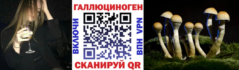 Псилоцибиновые грибы мицелий Иланский